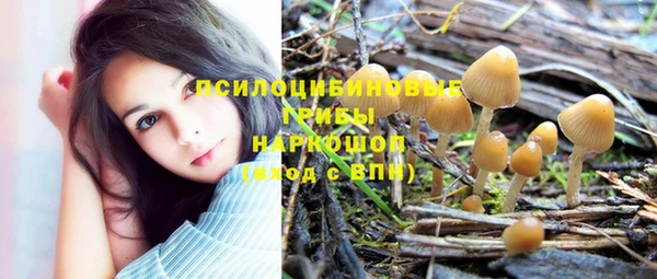 а пвп мука Аркадак