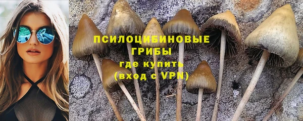 а пвп мука Арсеньев
