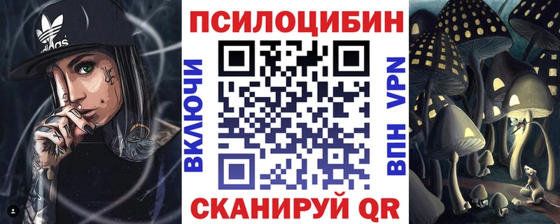 Псилоцибиновые грибы Psilocybe  купить наркотик  Сясьстрой 
