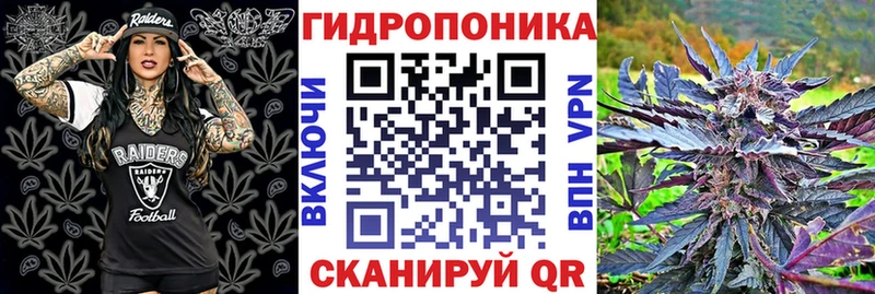 Марихуана Bruce Banner Сясьстрой